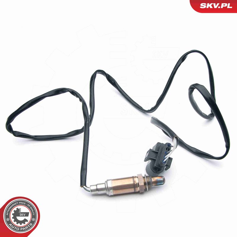 ESEN SKV 09SKV613 Oxygen Sensor