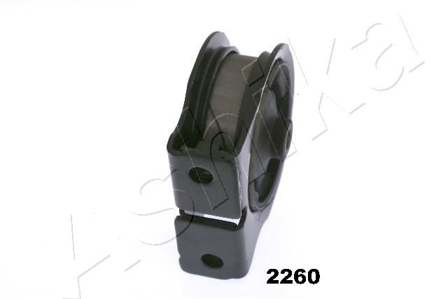 GOM-2260_2.JPG