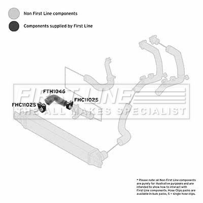 FTH1046_1093715.JPG