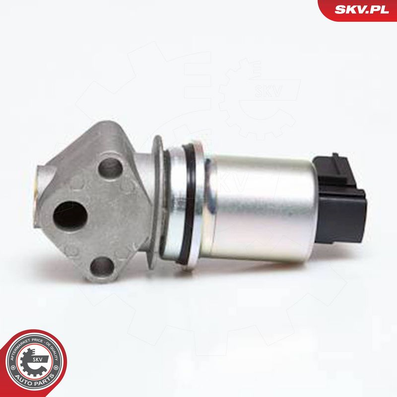 ESEN SKV 14SKV029 EGR Valve