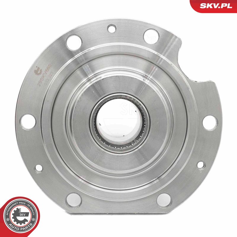 ESEN SKV 29SKV569 Wheel Bearing Kit