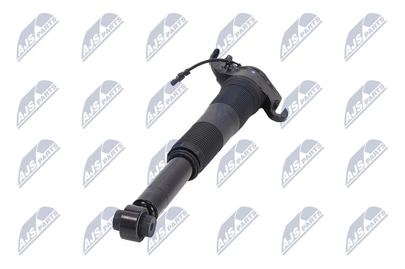 Amort, NTY A-LR-022