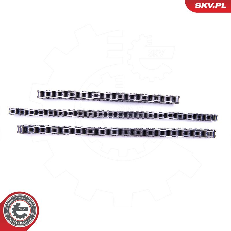 Mootori keti komplekt, ESEN SKV 21SKV196