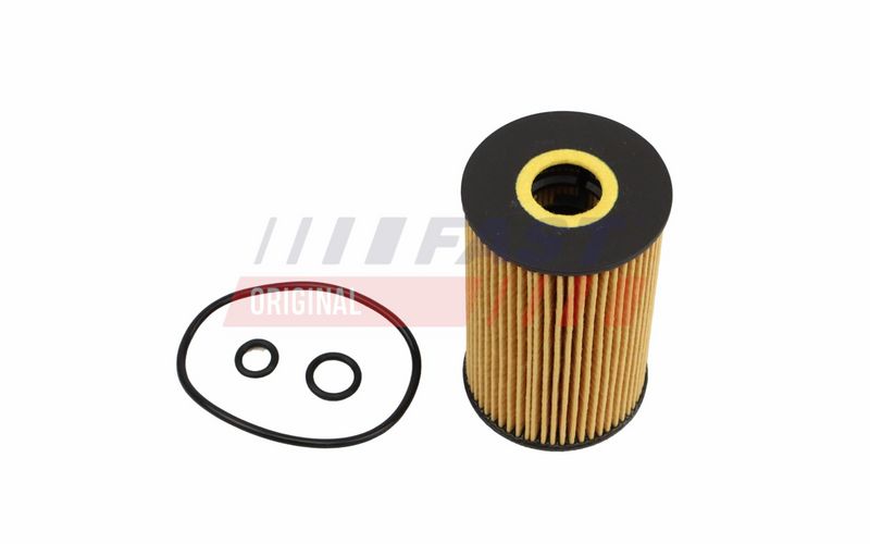 FAST FT10910 Alyvos filtras