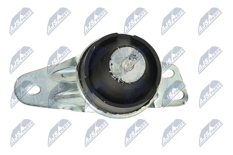 Paigutus, Mootor, NTY ZPS-FT-035