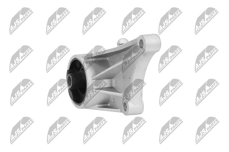 Paigutus, Mootor, NTY ZPS-PL-012
