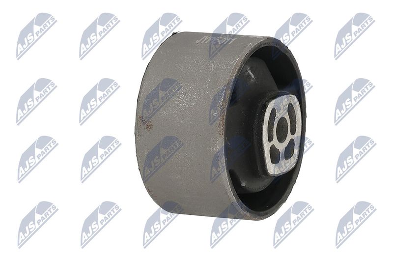 Paigutus, Mootor, NTY ZPS-PE-011