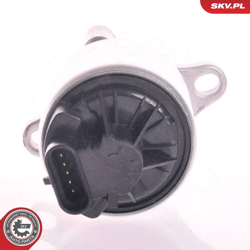 EGR-klapp, ESEN SKV 14SKV002