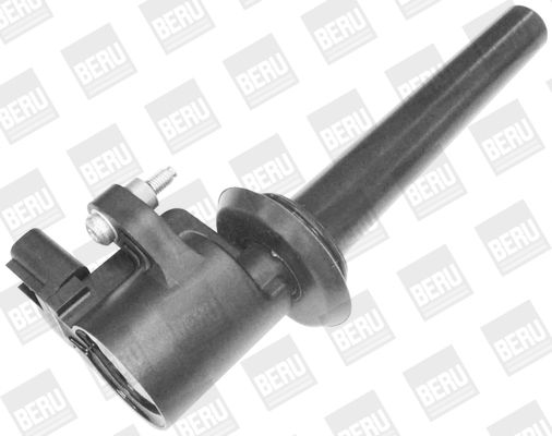 BorgWarner (BERU) ZS389 Ignition Coil
