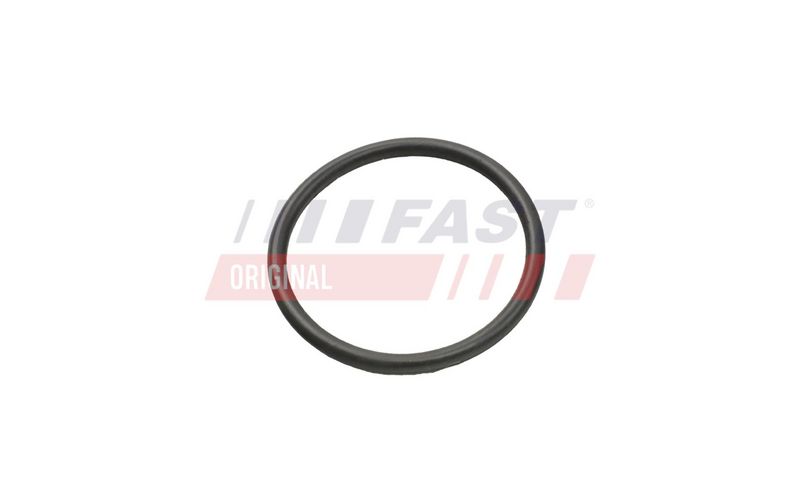 FAST FT49935 Turbinos žarnos tarpinė