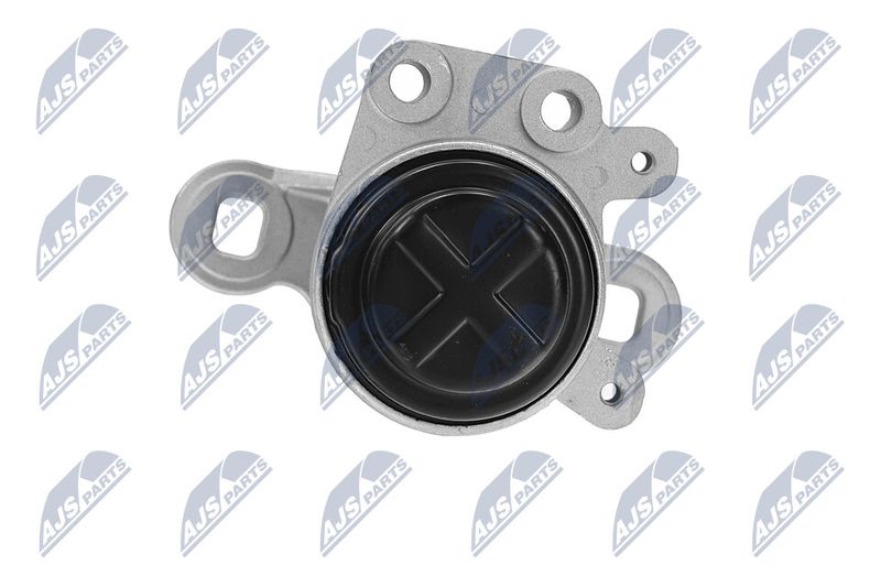 Paigutus, Mootor, NTY ZPS-FR-044