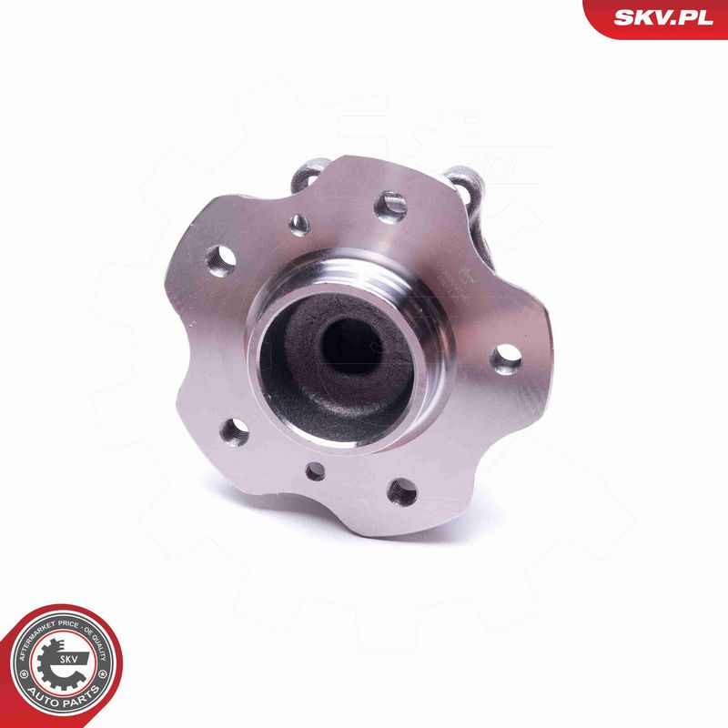 ESEN SKV 29SKV543 Wheel Bearing Kit