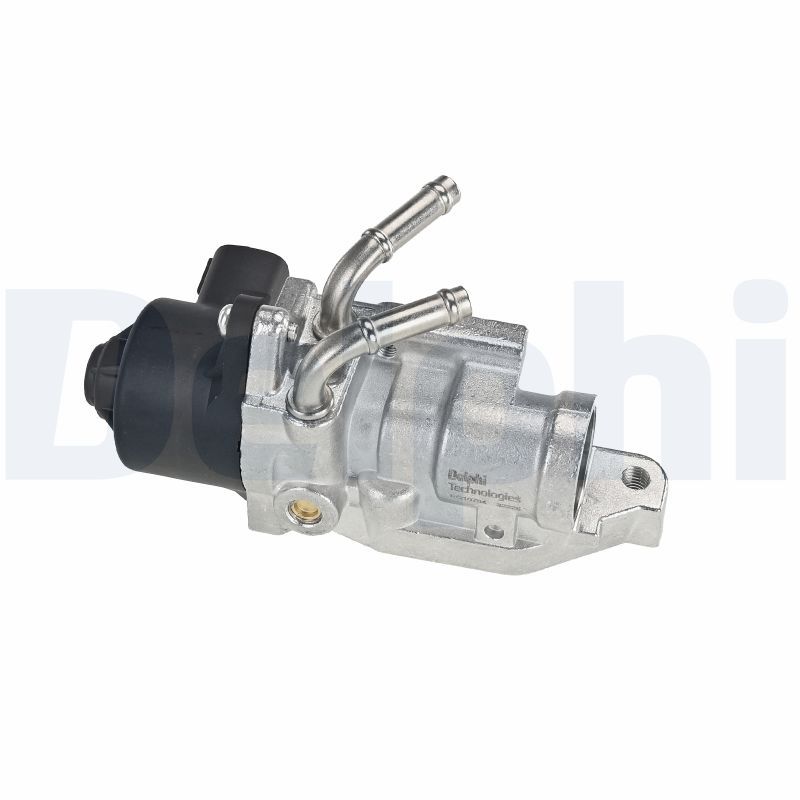 EGR-klapp, DELPHI EG10784-12B1