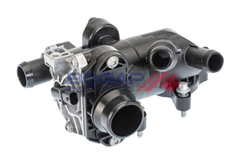 Termostato BOGAP C4245130 - 6