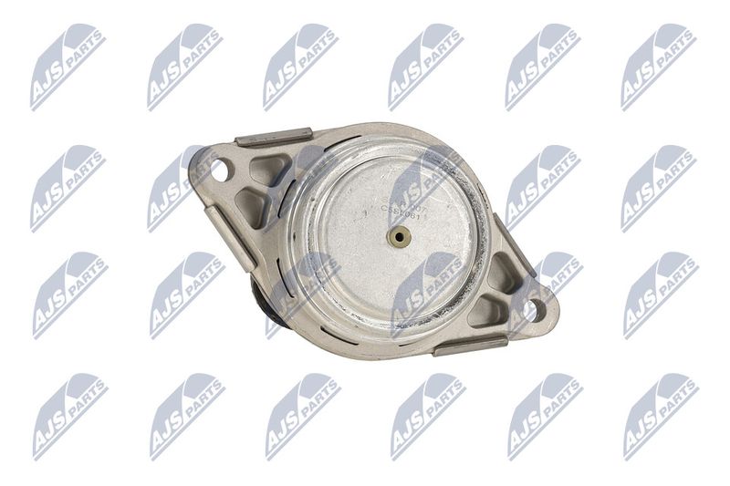 Paigutus, Mootor, NTY ZPS-LR-007