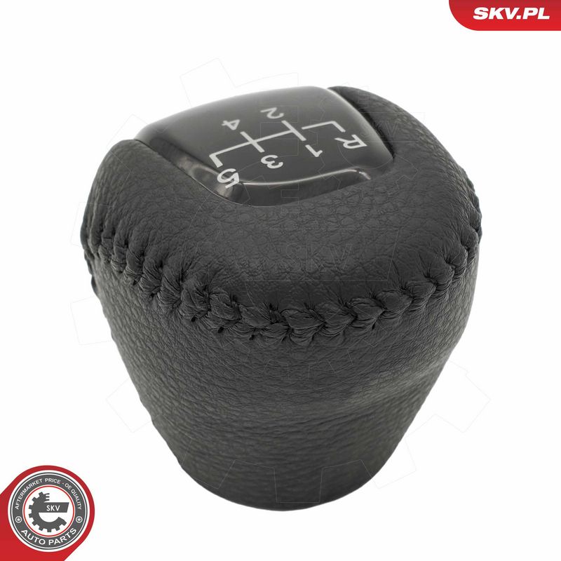 Käigukanginupp, ESEN SKV 63SKV193