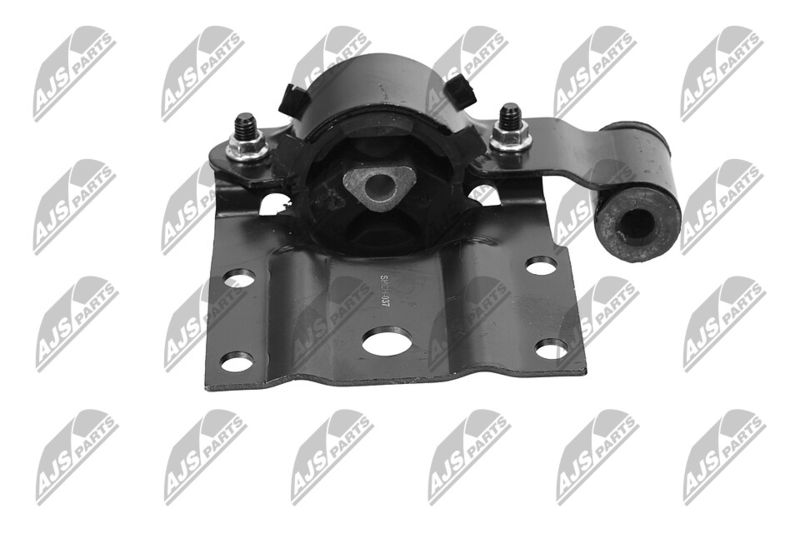 Paigutus, Mootor, NTY ZPS-CH-037