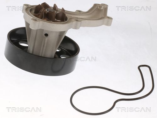 TRISCAN 8600 40019 Water Pump, engine cooling