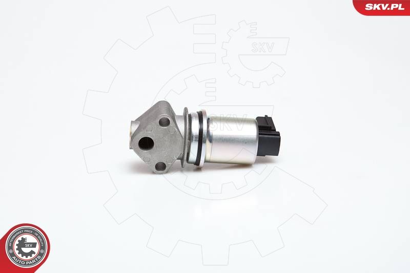 ESEN SKV 14SKV043 EGR Valve