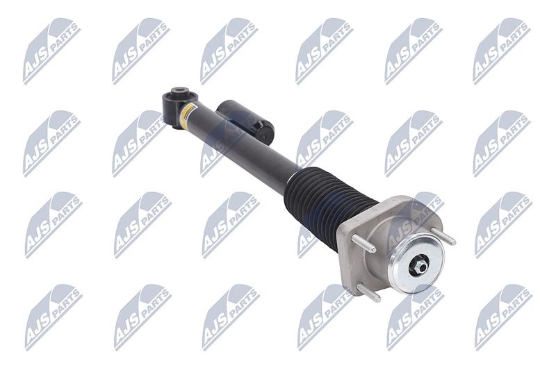 Amort, NTY A-LR-019