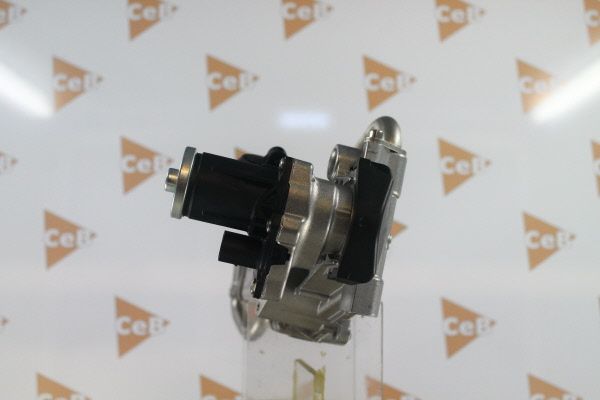 DA SILVA GR6141 EGR Valve