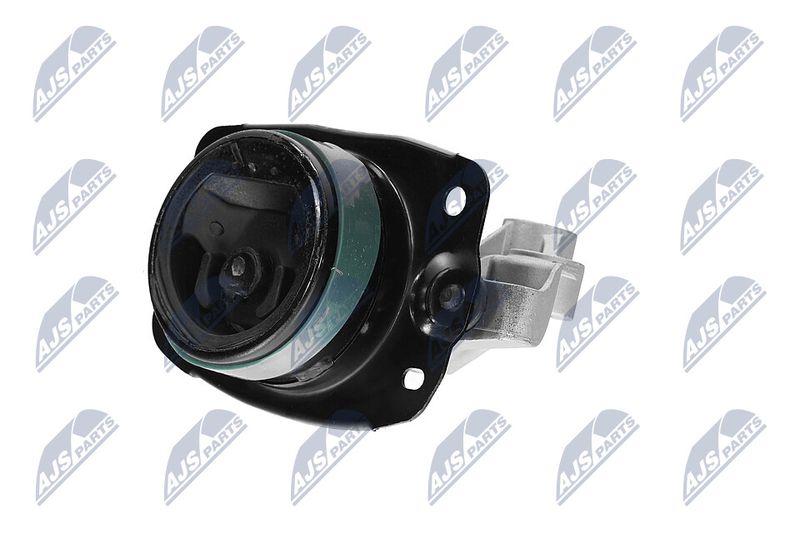 Paigutus, Mootor, NTY ZPS-CH-147