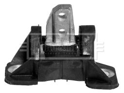 BEM3455_210311.JPG
