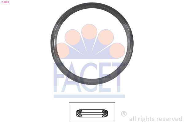 7.9583-FA.JPG