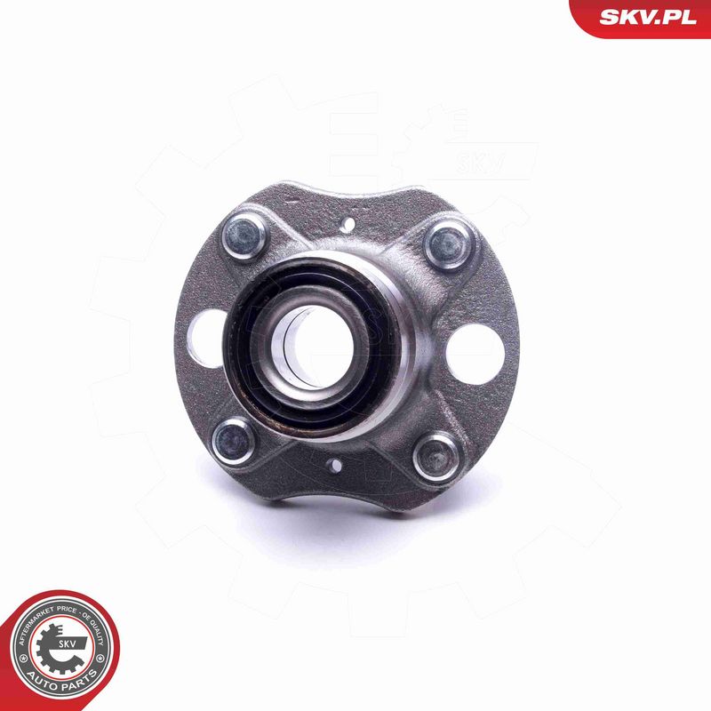 ESEN SKV 29SKV294 Wheel Bearing Kit