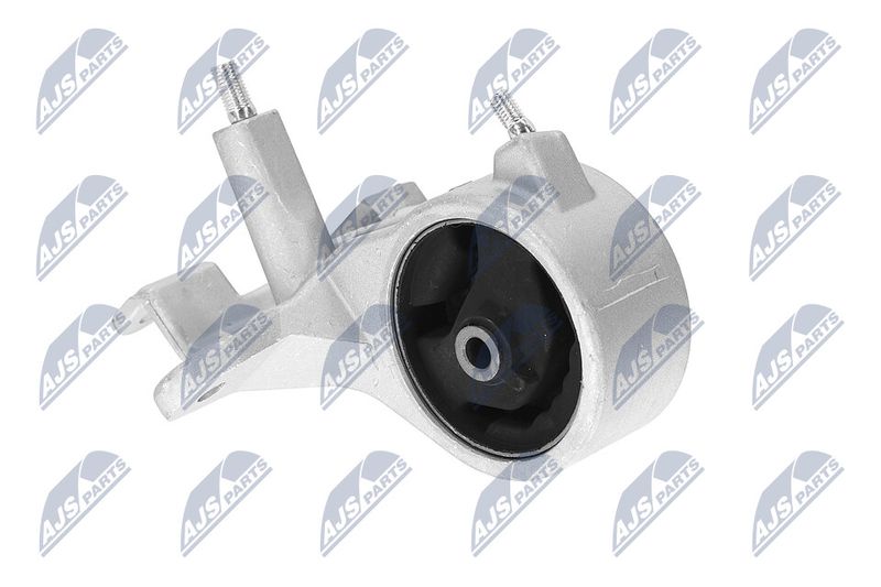 Paigutus, Mootor, NTY ZPS-DA-004