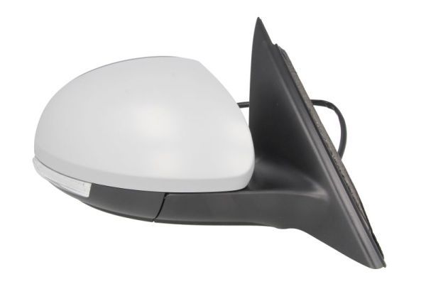 BLIC 5402-43-2002370P Exterior Mirror