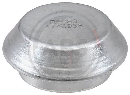 279501.JPG