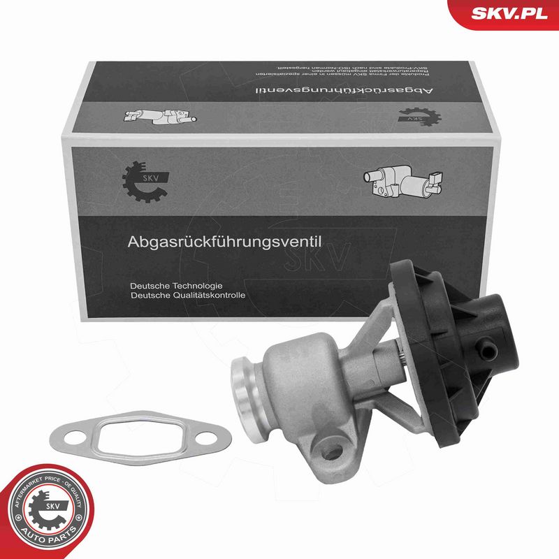 ESEN SKV 14SKV291 EGR Valve