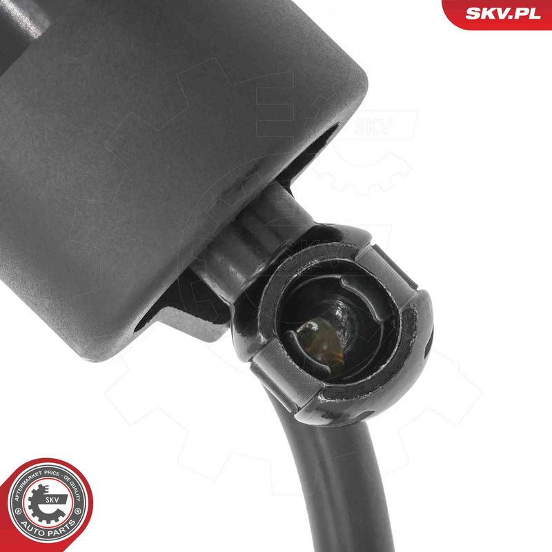 ESEN SKV 52SKV226 Electric Motor, tailgate