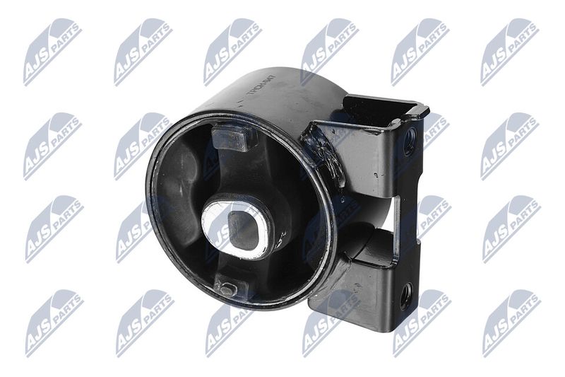 Paigutus, Mootor, NTY ZPS-CH-047