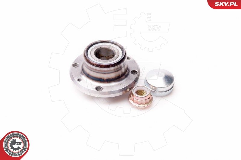 ESEN SKV 29SKV075 Wheel Bearing Kit