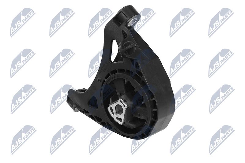 Paigutus, Mootor, NTY ZPS-PL-011