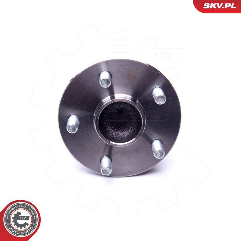 Rattalaagrikomplekt, ESEN SKV 29SKV333