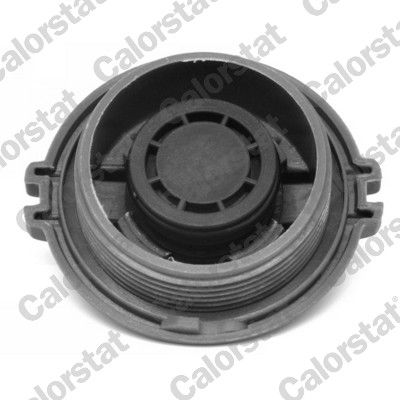 CALORSTAT by Vernet ET0003C1 Expansion Tank, coolant