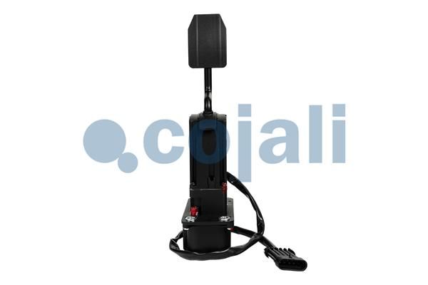 Senzor, poloha akceleračního pedálu 2260725