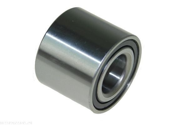 AUTOMEGA 110145110 Wheel Bearing Kit