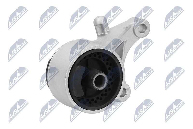 Paigutus, Mootor, NTY ZPS-PL-036