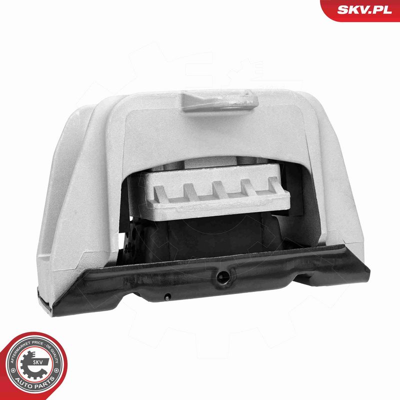 ESEN SKV 75SKV829 Mounting, manual transmission