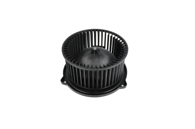 Salongipuhur, NRF 34331