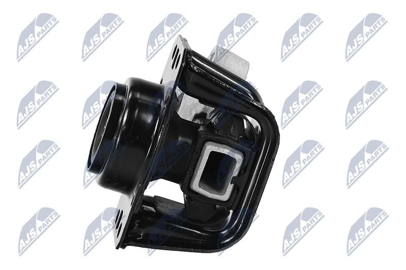 Paigutus, Mootor, NTY ZPS-PE-012