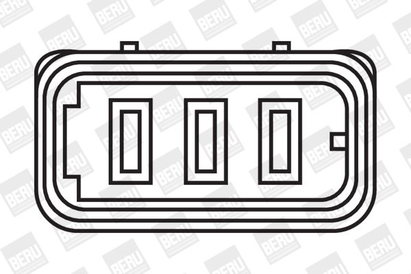 BorgWarner (BERU) ZS302 Ignition Coil