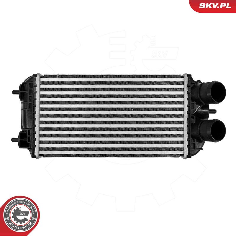 Prekės atitinka OEM kodą: 9824742280