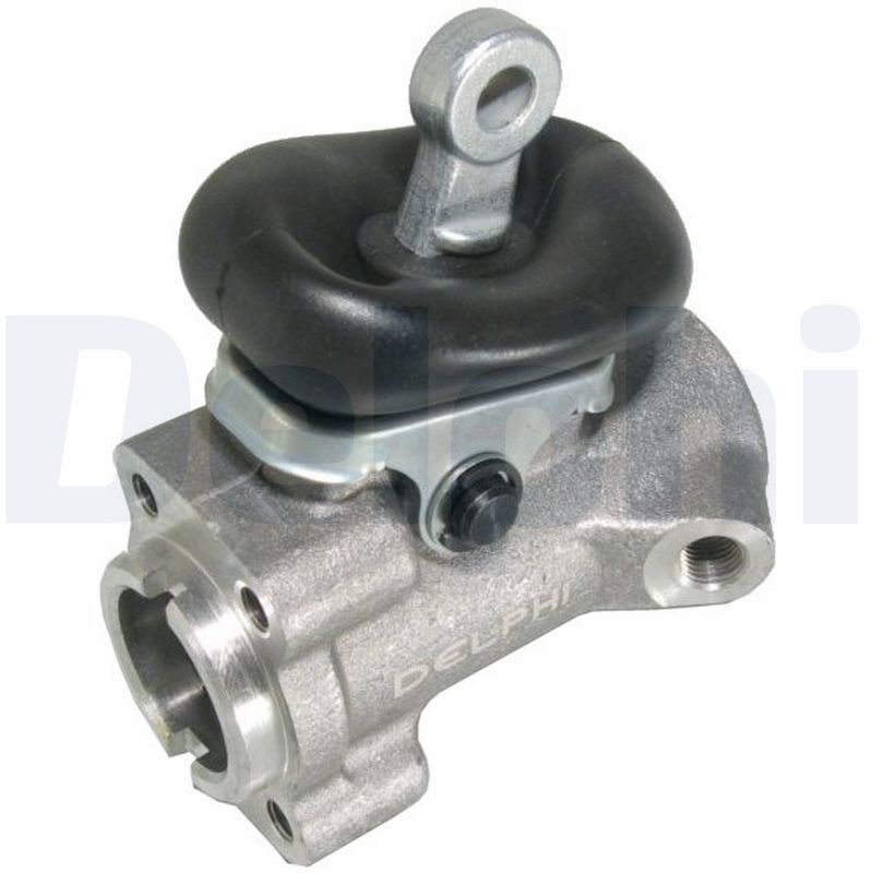 LW13299.JPG