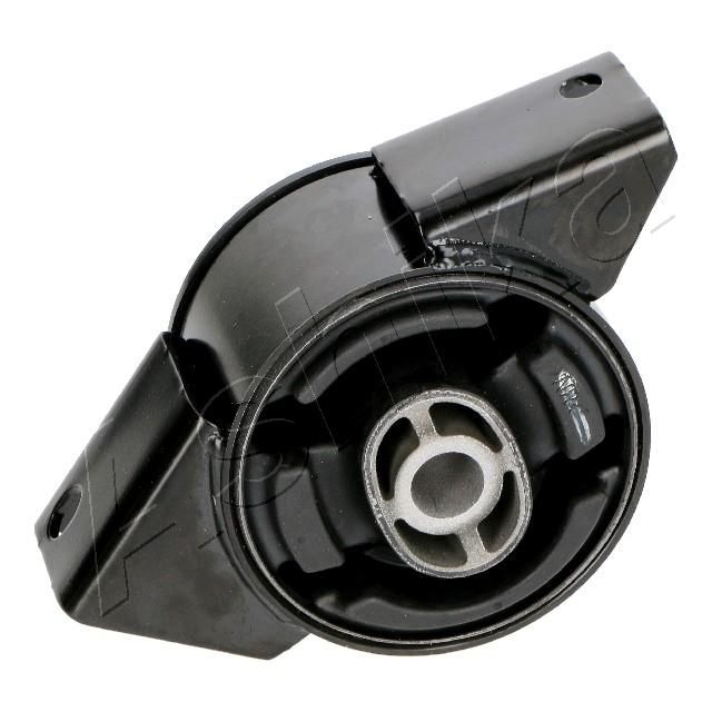 GOM-W83_1.JPG