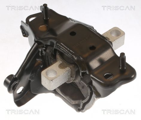 TRISCAN felfüggesztés, motor 8505 29139